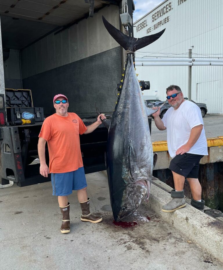 Bluefin Tuna Fishing Charters Near Me Portland, Maine